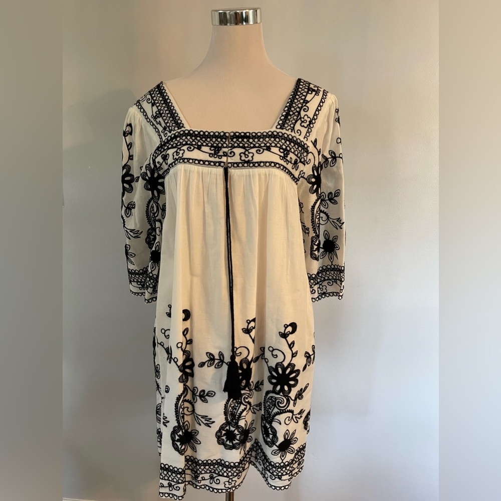 Endless Rose Embroidered Dress